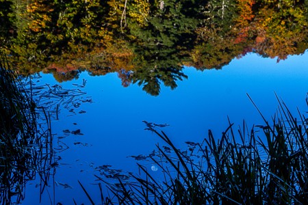 Trout Lake with setting full Moon Blue Ridge Parkway